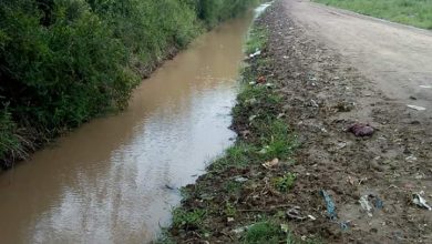 Photo of Fw: EL MUNICIPIO CONSTATÓ EL FUNCIONAMIENTO DE CANALES