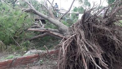 Photo of Fw: EL MUNICIPIO CONTINÚA CON LOS TRABAJOS POR LOS DAÑOS OCASIONADOS POR LA TORMENTA