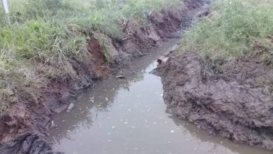 Photo of Fw: SERVICIOS PÚBLICOS REALIZA MANTENIMIENTO DE CANALES