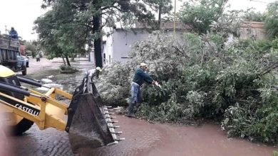 Photo of Fw: EL MUNICIPIO DE CASTELLI TRABAJA INTENSAMENTE TRAS LA TORMENTA