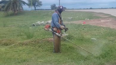 Photo of Fw: EL MUNICIPIO REALIZA TAREAS DE LIMPIEZA Y DESMALEZADO EN INSTITUCIONES Y ESPACIOS VERDES