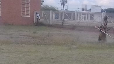 Photo of Fw: EL MUNICIPIO REALIZA TAREAS DE MANTENIMIENTO EN BULEVARES Y HOSPITAL