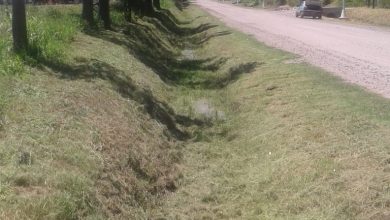 Photo of Fwd: INFORMACIÓN | Continúan los trabajos de cuidado y mantenimiento de espacios verdes en la ciudad