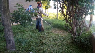 Photo of Fw: EL MUNICIPIO DE CASTELLI REALIZA TAREAS DE DESMALEZADO EN ESTABLECIMIENTOS ESCOLARES