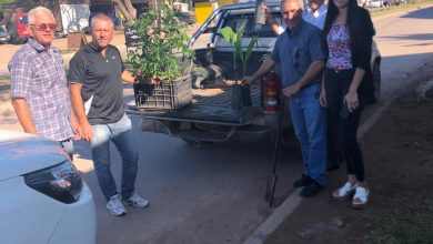 Photo of Fw: REALIZAN FORESTACIÓN EN BULEVAR DE AV GÜEMES