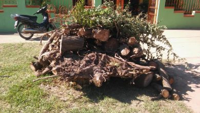 Photo of Fw: EL MUNICIPIO REALIZÓ TRABAJOS DE LIMPIEZA EN EL JARDÍN PABLO NERUDA