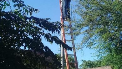 Photo of Fw: SERVICIOS PÚBLICOS REALIZA RECAMBIO DE LÁMPARAS DEL ALUMBRADO PÚBLICO