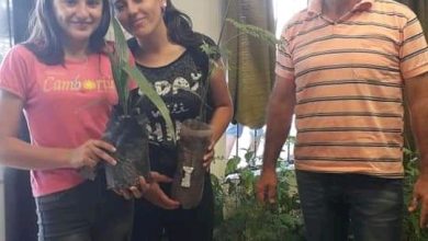 Photo of Fw: EL MUNICIPIO DE CASTELLI ENTREGÓ ESTE MARTES MAS DE 400 PLANTINES DE DIFERENTES ESPECIES ARBOREAS