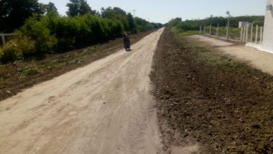 Photo of Fw: SERVICIOS PÚBLICOS MUNICIPAL REALIZA EL MANTENIMIENTO DE BANQUINAS