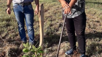 Photo of Fw: AMBIENTE MUNICIPAL INCORPORO MAS DE 500 ALGARROBOS EN LA CIRCUNVALACIÓN