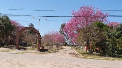 Photo of Fw: Visita a Huanqueros