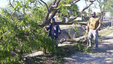 Photo of Fwd: temporal ibañez