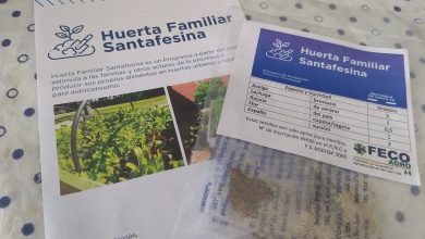 Photo of Fwd: SAN VICENTE PRENSA 036