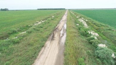 Photo of Fw: Solitud de obras viales en rutas y caminos