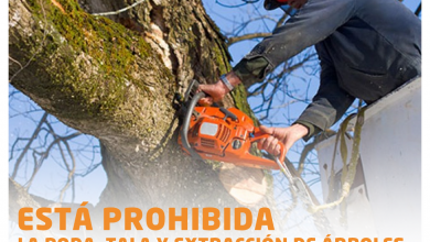 Photo of Fwd: SAN VICENTE PRENSA 0112