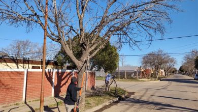 Photo of Fwd: SAN VICENTE PRENSA 0118