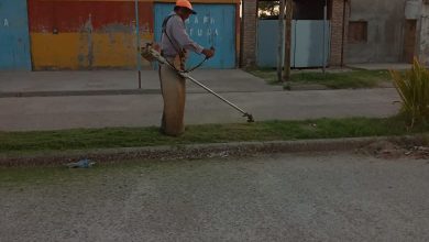 Photo of Fwd: Intensifican los trabajos de desmalezamiento y limpieza en distintos puntos de Añatuya