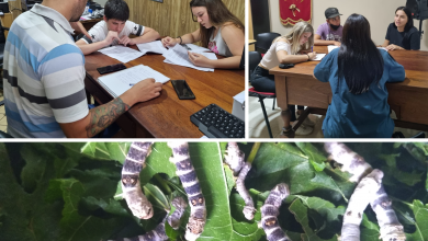 Photo of Fwd: ATALIVA: A TRAVÉS DE LA PRODUCCIÓN DE SEDA, JÓVENES SE CAPACITAN PARA ACCEDER A UN EMPLEO